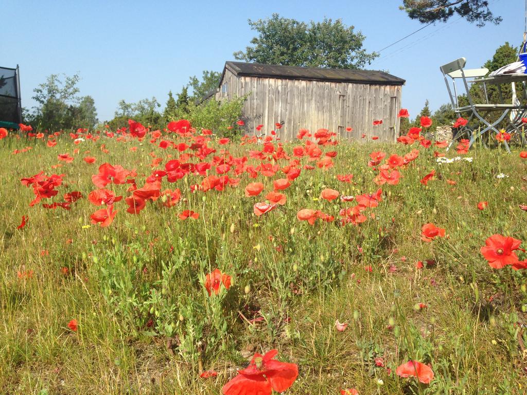 Farogarden Bed & Breakfast Exteriör bild